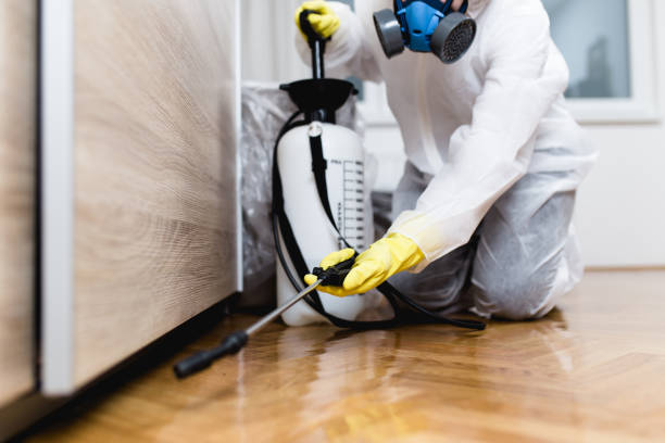Best Bed Bug Extermination  in Central City, IL