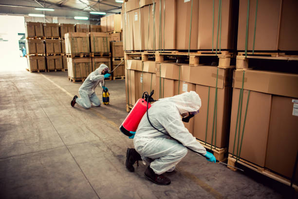 Best Best Pest Control Companies  in Central City, IL