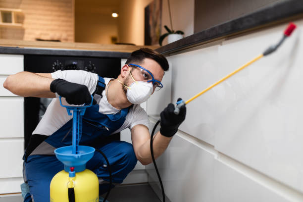 Best Pest Control Near Me  in Central City, IL