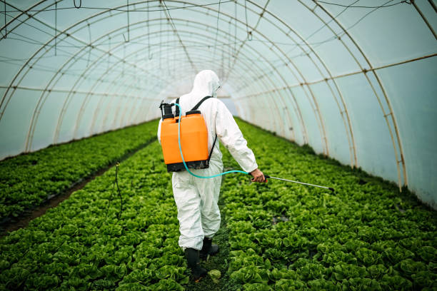 Best Pest Inspection Near Me  in Central City, IL