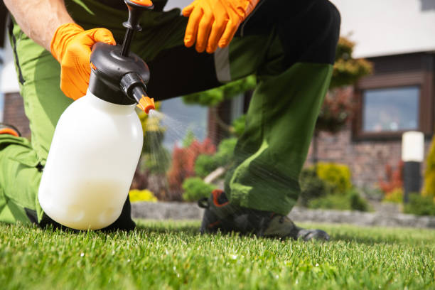 Pest Control Cost in Central City, IL