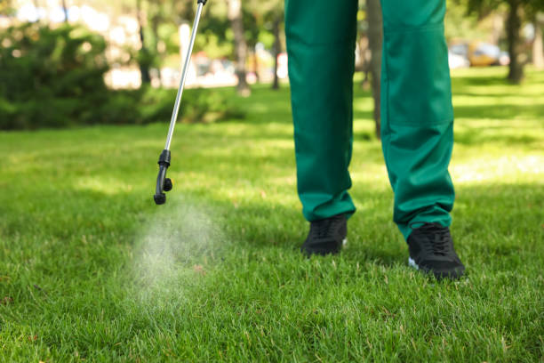 Best Residential Pest Control  in Central City, IL