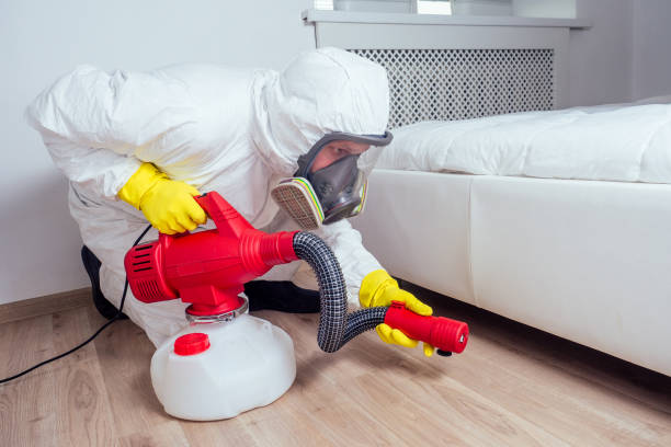 Best Affordable Pest Control Services  in Central City, IL