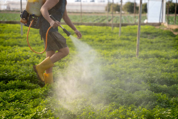 Best Pest Removal Services  in Central City, IL
