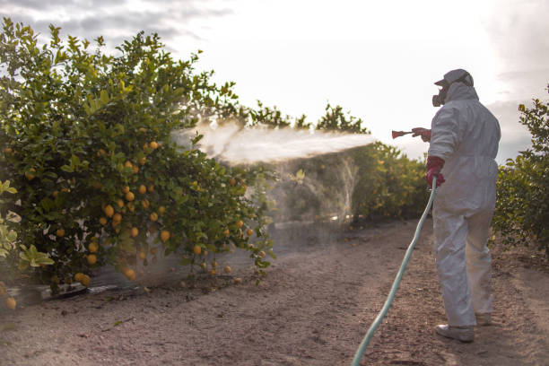 Pest Control for Restaurants in Central City, IL
