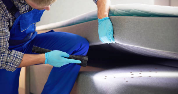 Best Pest Control for Restaurants  in Central City, IL