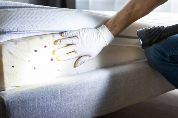 Best Commercial Pest Control Services  in Central City, IL
