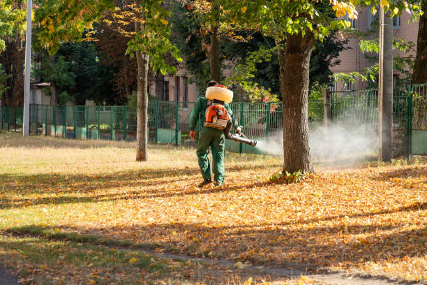 Best Ant Control Services  in Central City, IL
