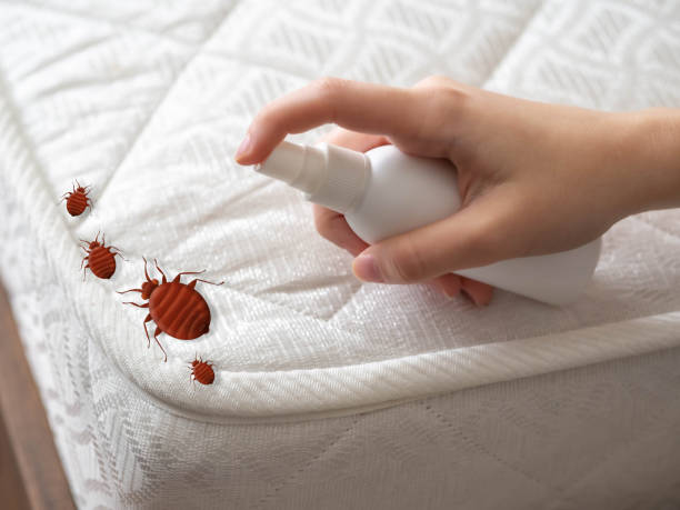 Trusted Central City, IL Pest Control Experts