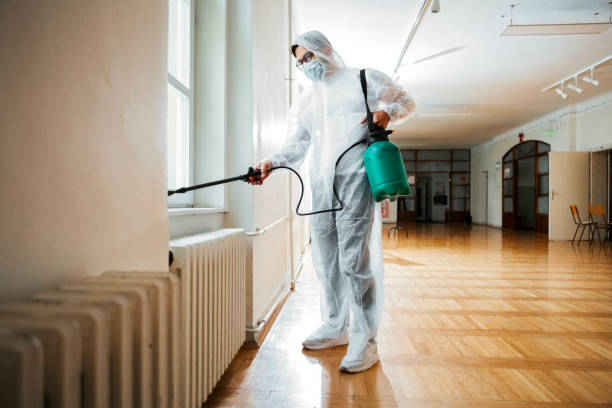 Flea Control Services in Central City, IL