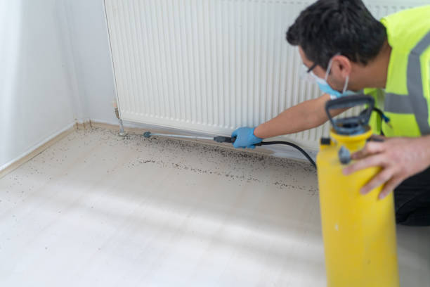 Best Best Pest Control Companies  in Central City, IL