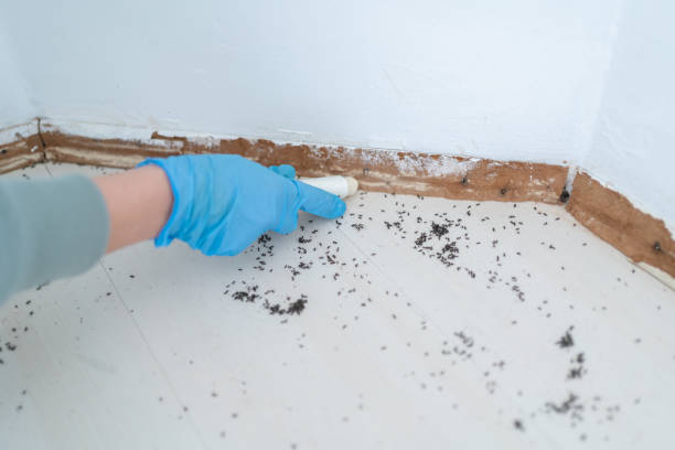 Best Commercial Pest Control Services  in Central City, IL
